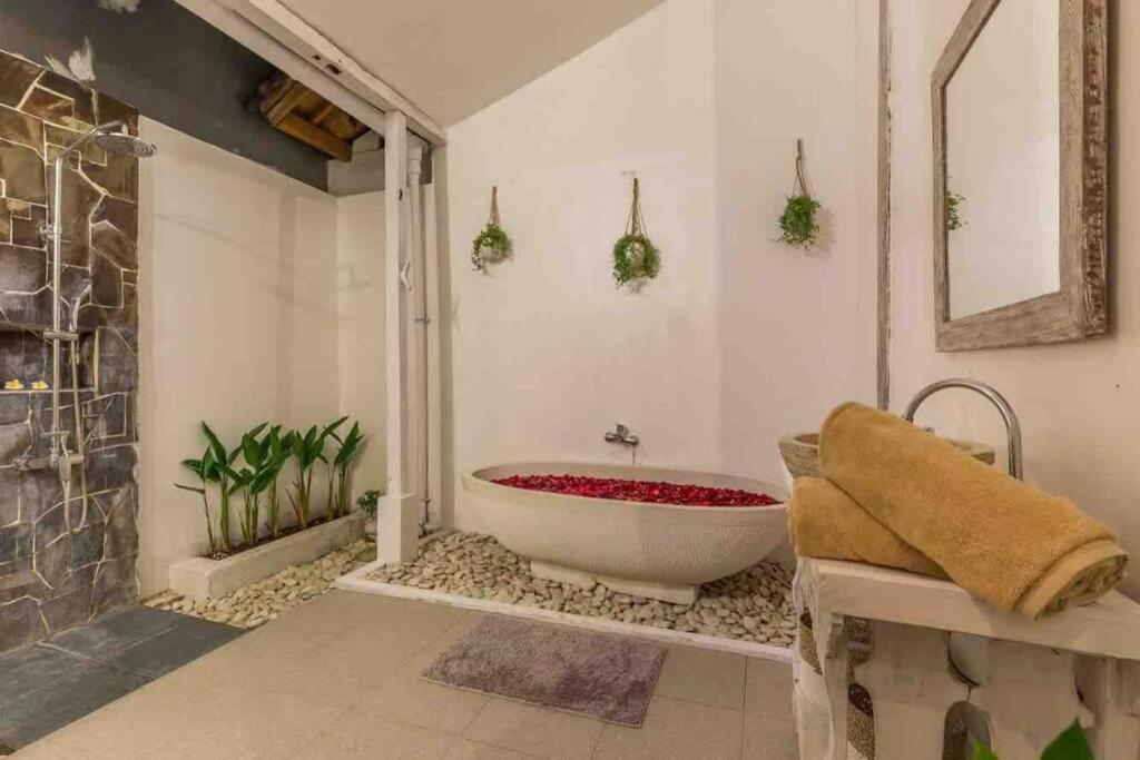 Villa Alegria Seminyak Zewnętrze zdjęcie